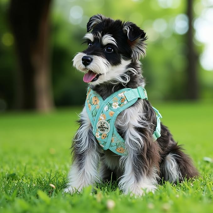 Patas Lague Dog Harness with Leash Set Adjustable Soft Padded Step-in Dog Vest No Choke No Pull Reflective for Medium Pets with Poop Bags and Dispenser, Solid and No-chew, Floral Green L