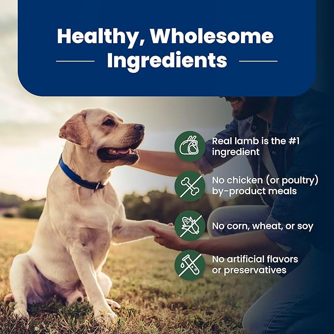 Blue Buffalo Life Protection Formula with LifeSource Bits, Senior 7+ Dry Dog Food, Lamb and Brown Rice Recipe, Natural Food for Dogs, 15 lb. Bag