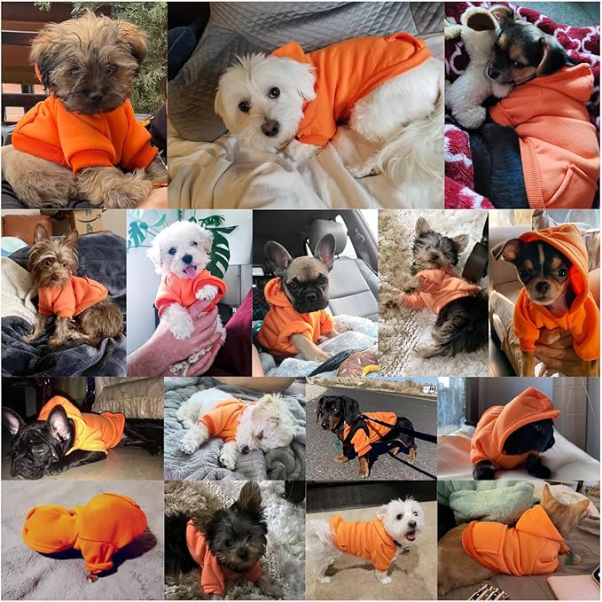 Jecikelon Winter Dog Hoodie Sweatshirts with Pockets Warm Dog Clothes for Small Dogs Chihuahua Coat Clothing Puppy Cat Custume (Orange, XX-Small)