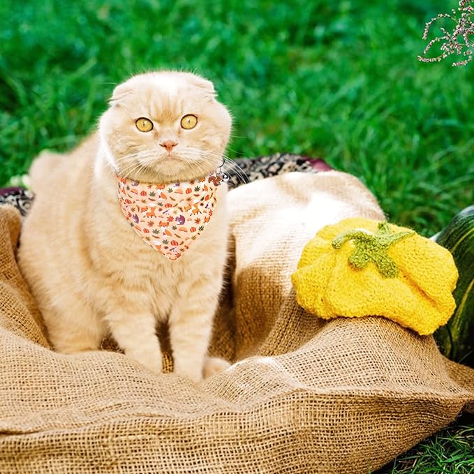 EXPAWLORER Fall Cat Collar Breakaway with Removable Bowtie and Bandana, Adjustable Holiday Cute Kitten Thanksgiving Collar with Bell, Ideal Festival Decoration Gift for Girl Boy Cats Puppies, 2 Pack