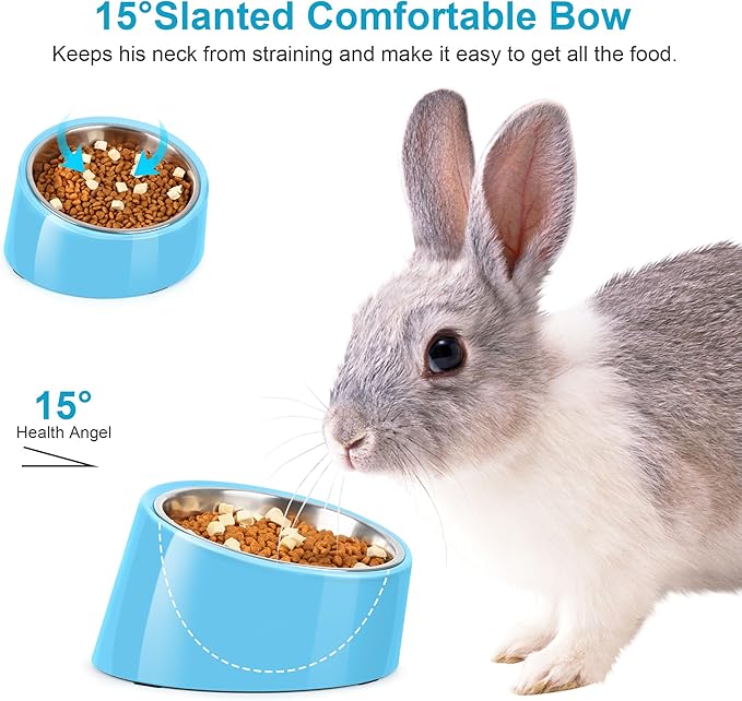 Tilted Dog Bowl Non-Slip & Non-Spill Pet Feeder with Elevated Detachable Melamine Stand, Easy to Get Food Dog Dish, S/100ml Sky Blue