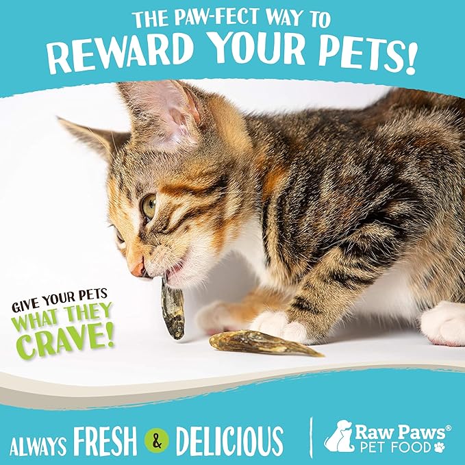 Raw Paws Smelt Freeze Dried Minnows for Cats & Dogs, 2-oz - Made in USA - Freeze Dried Fish for Cats - Single Ingredient Fish Dog Treats - Minnows Dog Treats