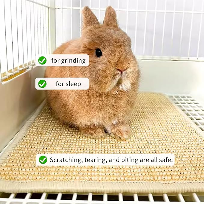 Oncpcare Rabbit Food Water Dispenser, 2PCS Rabbit Scratch Mat Natural Bunny Scratching Pad 24x16