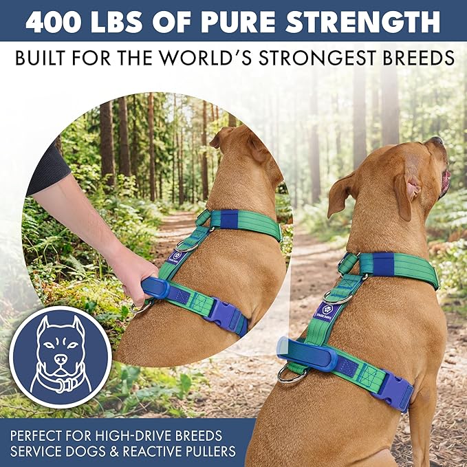 Spark Paws No Pull Dog Harness with Handle for Large Dogs, Heavy Duty Dog Harness for Big Strong Breeds, Adjustable, Y Shaped Padded Halter Design with Front Clip - Lime Wave - L