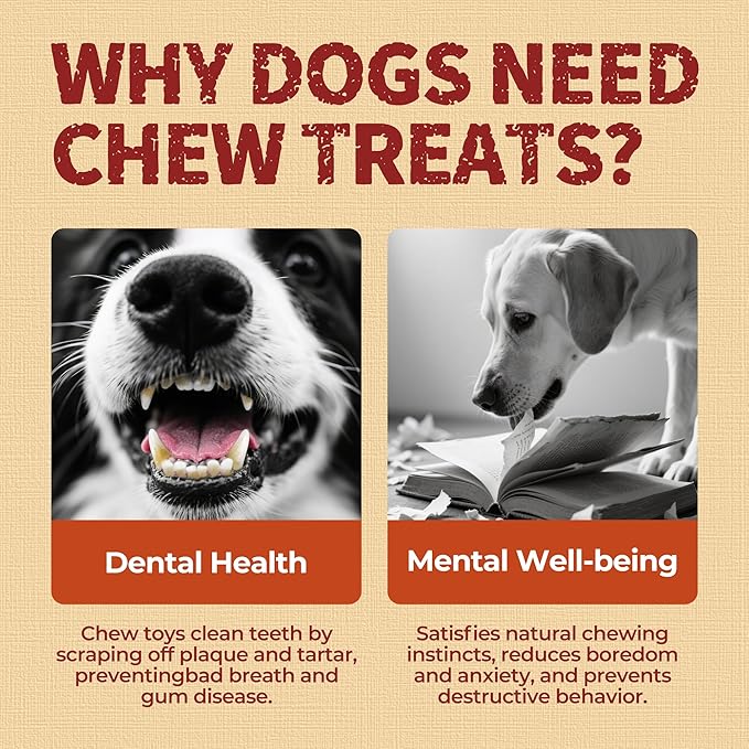 Just Try 13" Large Size Chicken Wrapped Rawhide Dog Chew Sticks - Long Lasting Dog Chews, Dog Treats for Large Dogs, Dog Chews