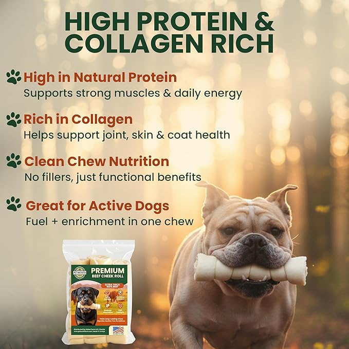 8 Pack 6 Inch Beef Cheek Rolls Extra Thick for Dogs – Digestible Rawhide Alternative Chews, Long Lasting Dental Treats, Single Ingredient Natural Dog Chews for Medium to Large Dogs