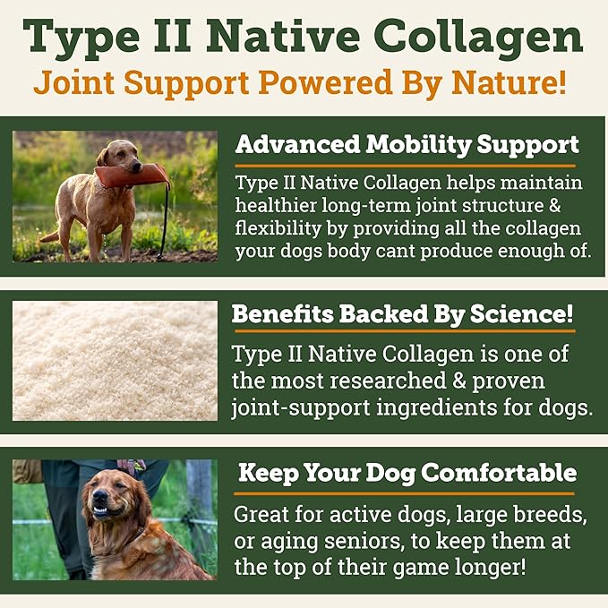 DogBone Krillagen Chews for Dogs – 90 Count Supplement - Type 2 Collagen for Hip & Joint Support – Krill Powder Omega 3 DHA + EPA for Heart, Skin, Coat - Active, Large Breed, & Senior Canine Health