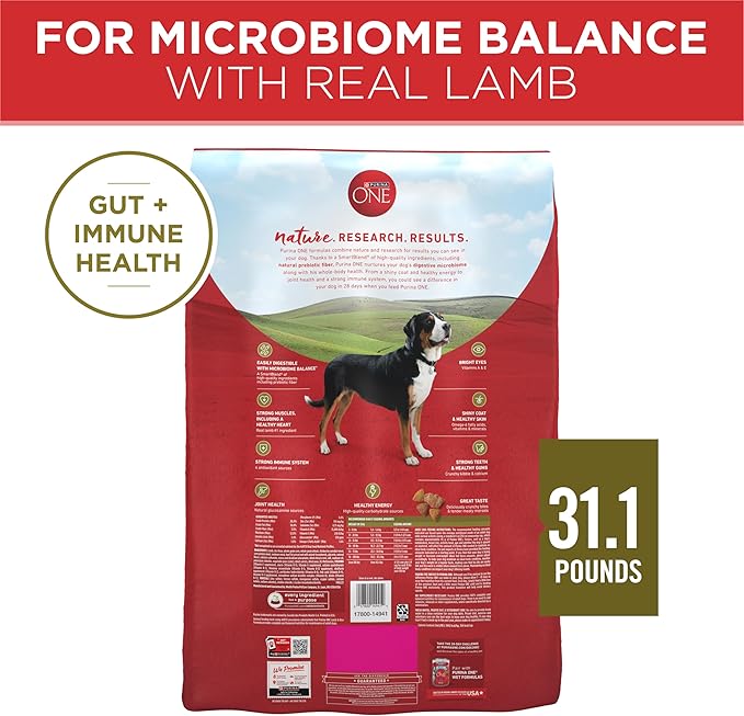 Purina ONE Dry Dog Food Lamb and Rice Formula - 31.1 lb. Bag