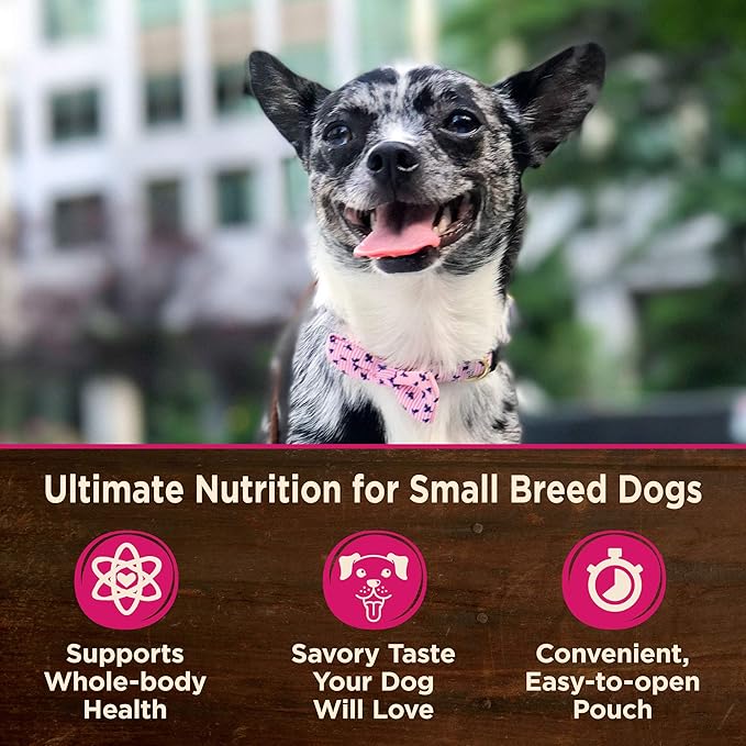 Wellness CORE Natural Grain Free Mini Meals Shredded Variety Pack, 3-Ounce (Pack of 12)