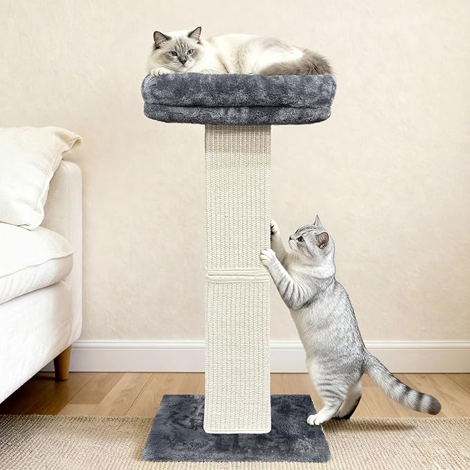 AGYM Cat Scratching Post, 32”Cat Scratcher with Large Plush Perch, Sisal & Carpet Scratching Post, Vertical Posts with Elevated Bed for Indoor Cats, Removable& Washable Cover, Grey