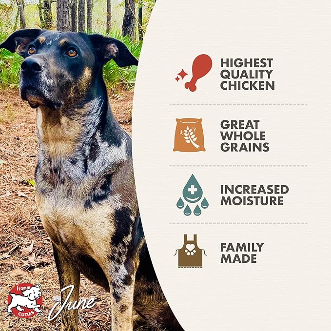 Fromm Chicken & Rice Pate Dog Food - Premium Wet Dog Food - Chicken Recipe - Case of 12 Cans