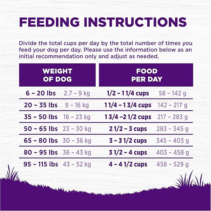 Wellness Complete Health Senior Dry Dog Food, Wholesome Grains, Natural, Age Advantage Chicken & Barley Recipe, (15-Pound Bag)