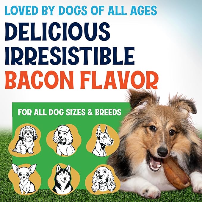 Whole Pig Ears for Dogs - 15 Pack Long Lasting Dental Chews – One Ingredient Delicious All Natural Flavor Treats – Easy to Digest for Large Pets - Great for Teeth and Gums