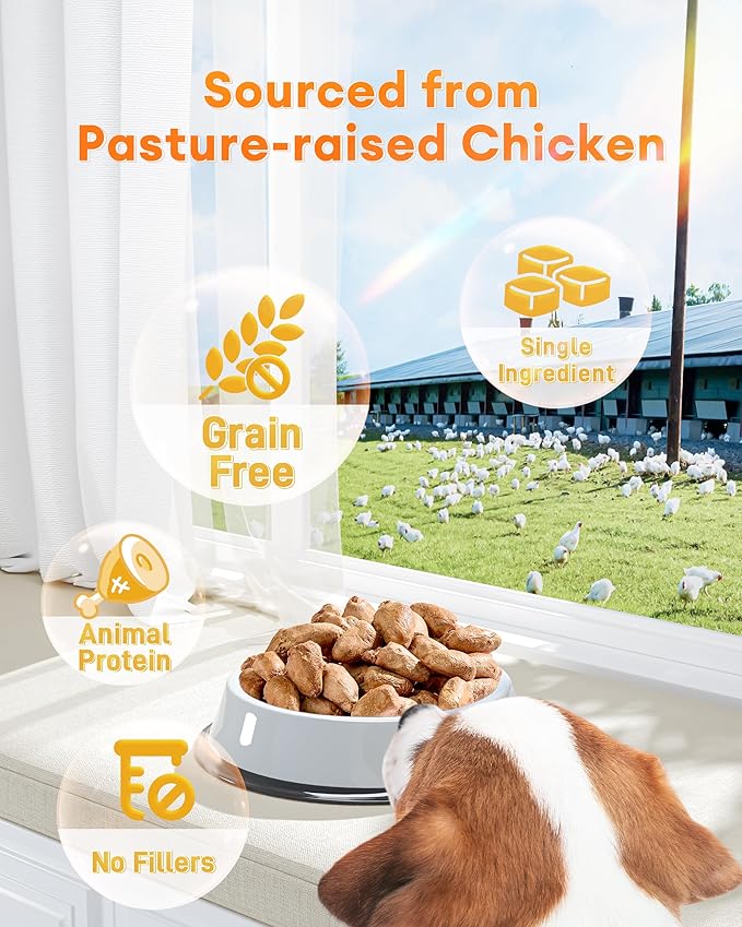 Freeze-Dried Chicken Hearts Cat & Dog Treats, 3.52 oz — High Protein, Single Ingredient, Grain Free, No Additives or Preservatives, Sealed Box
