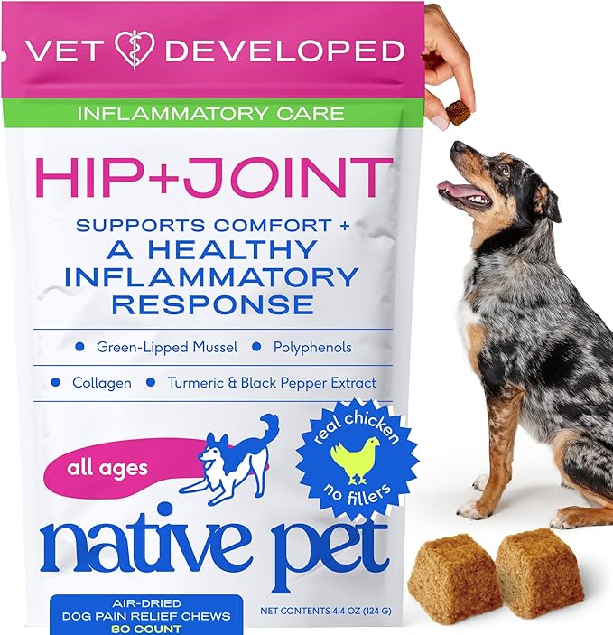 Native Pet Inflammatory Care - Pain Relief for Dogs - Green-Lipped Mussel, Turmeric & Collagen for Dogs - Hip and Joint Supplement Supports Healthy Inflammatory Response & Joint Comfort - 60 Chews