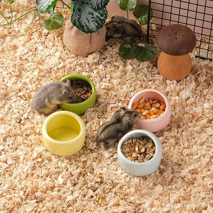 VanEnjoy 4 Pack Medium Hamster Food Bowl Ceramic Guinea Pig Food Dish No Spill Hamster Food and Water Bowl Small Animal Food Bowl for Chinchilla Hedgehog Hamster Gerbil - Pink Blue Yellow and Green