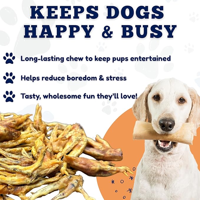 Amazing Dog Treats - Chicken Feet (200 Count - Bulk) - All Natural American Grade Chew Bones for Dogs