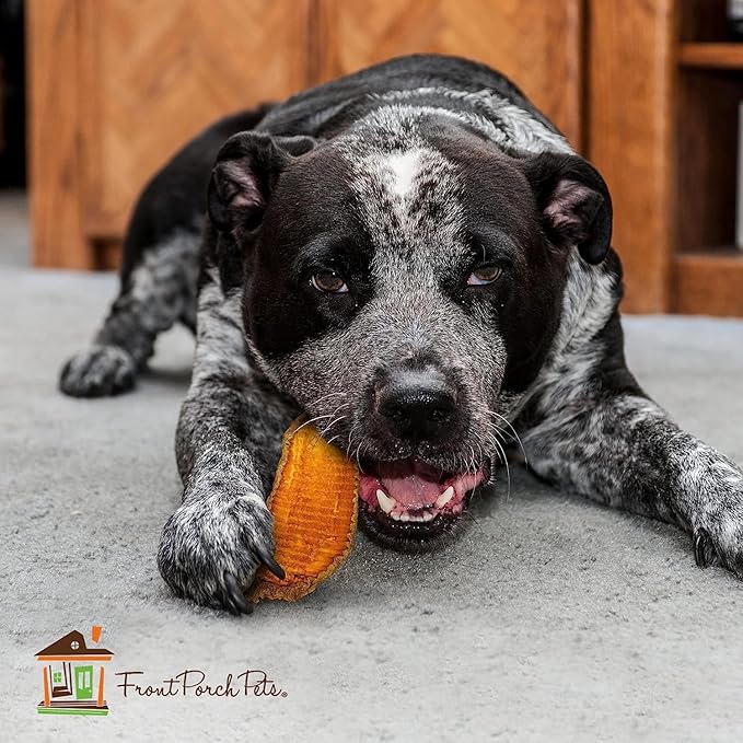 Sams Yams Sweet Potato Dog Treats, Healthy Dog Treats for Large Dogs - Sweet Potato Dog Treats Made in USA, High Fiber, Vegan Dental Chews - Big Boyz, Sweet Potato Dog Chewz, 15oz (Pack of 3)