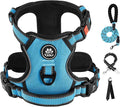 IVY&LANE No Pull Dog Harness for Medium Dogs, Dog Vest Harness with Leash, Safety Belt and Storage Strap, Fully Adjustable, 360° Reflective Strip, Soft Handle (Blue, M)
