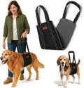 Dog Lifting Harness - Mobility Sling for Weak Back Legs - Rear Support with Soft Fleece Pad, Adjustable Straps & Padded Handle for Recovery & Senior Dogs - Machine Washable (Size XL)