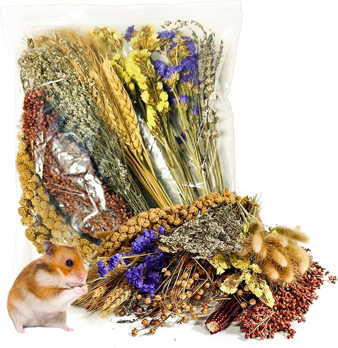 Natural Hamster Flower & Herb Habitat Deocr, Edible Hamster Sprays Flowers Bedding Mate, Hamsters Cage Enrichment Decoration Accessories for Dwarf Syrian Hamster Gerbil Mice Degus