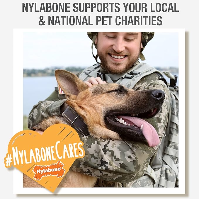 Nylabone Healthy Edibles Natural Dog Chews Long Lasting Meaty Center Beef Flavor Treats for Dogs, Small (12 Count) (Pack of 2)