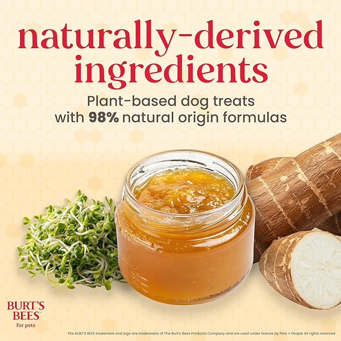 BURT'S BEES FOR PETS Dental Treats for Dogs with Manuka Honey & Ginger, Holistic, Plant-Based Oral Care, 98% Natural Origin Formulas, Peppermint Flavor, Dog Treats Small Dogs, Sz Sm 10ct, 7.4 oz