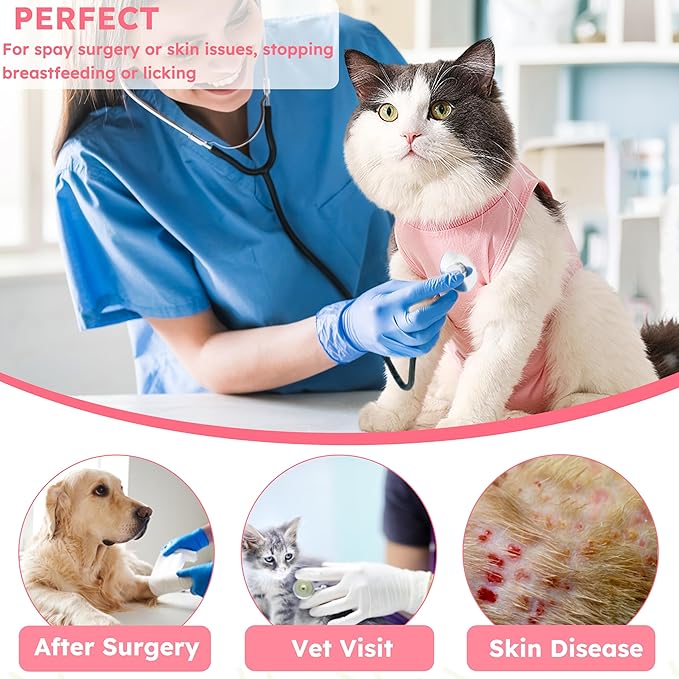 Hpetppy Cat Recovery Suit After Surgery, Breathable Cat Surgery Recovery Suit for Spay Abdominal Wounds or Skin Diseases, E-Collar Alternative Wear for Small Male Female Pets (Pink,L)