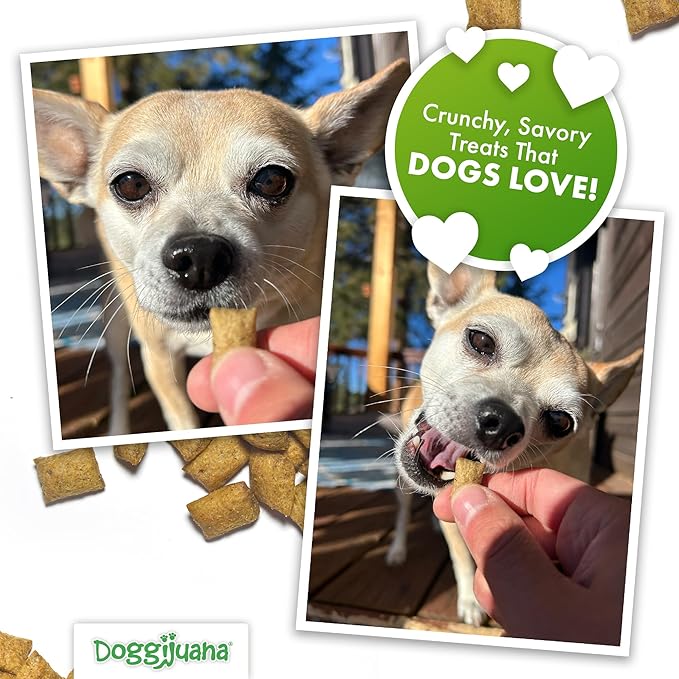 Doggijuana Treats for Dogs with Catnip, Chamomile & L-Tryptophan – Crunchy Reward Bites with Calming Botanicals – Low Calorie Natural Training Treats, 6 oz (Chicken & Peanut Butter 2 Pack)