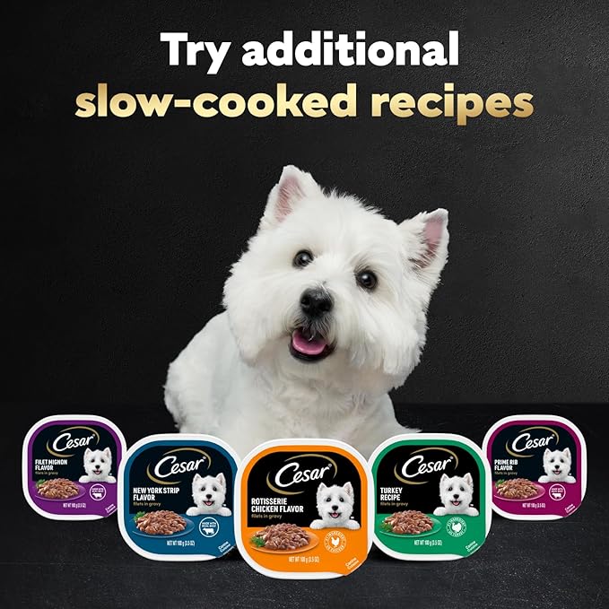 Cesar Filets in Gravy Adult Wet Dog Food Variety Pack, Filet Mignon and New York Strip Flavors, 3.5 oz. Easy Peel Trays, Variety Pack, 12 Count