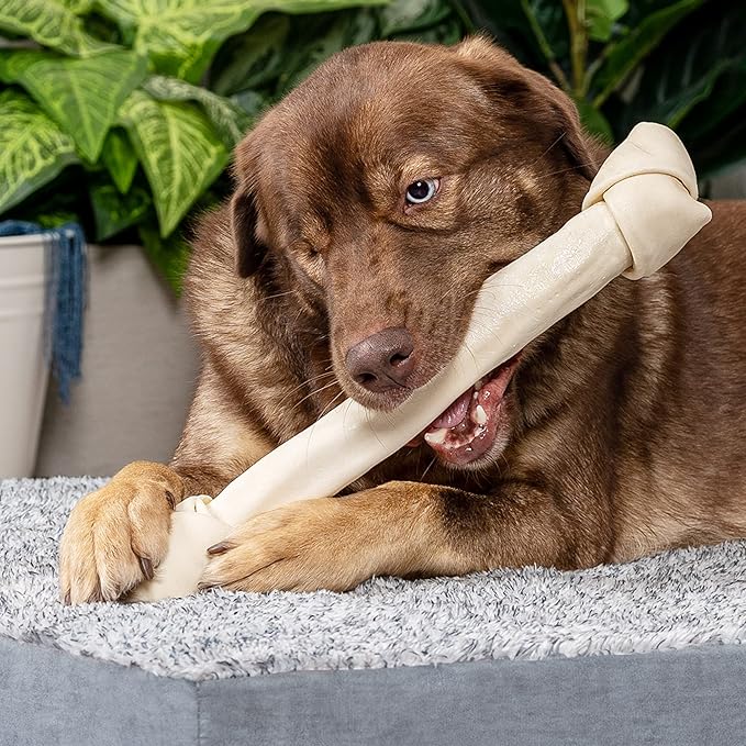 Pet Factory 100% Made in USA Beefhide 15-17" Knotted Bone Dog Chew Treat - Natural Flavor, 1 Count/1 Pack