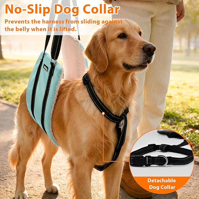AIITLE Dog Slings for Small Dogs - Adjustable Reflective Dog Lift Harness with Anti-Slip Collar for Senior Dogs, Hind Leg Weakness, Hip Dysplasia, ACL Surgery (Turquoise, S)