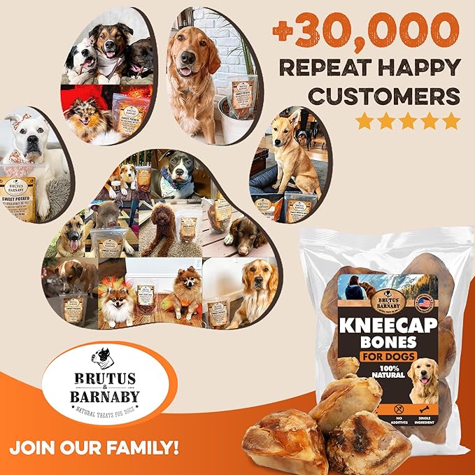 BRUTUS & BARNABY Kneecap Bones for Dogs – 100% USA-Sourced Beef – Long-Lasting Natural Chews for Aggressive Chewers – High Protein, Dental Health Support, (10-pk) – Made in The USA