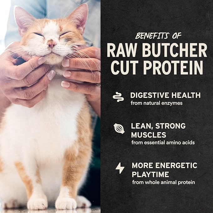 Vital Essentials Freeze Dried Minnows Cat Treats | Single Ingredient | Premium Quality | Grain Free, Healthy Treats for Cats, 1 oz Bag