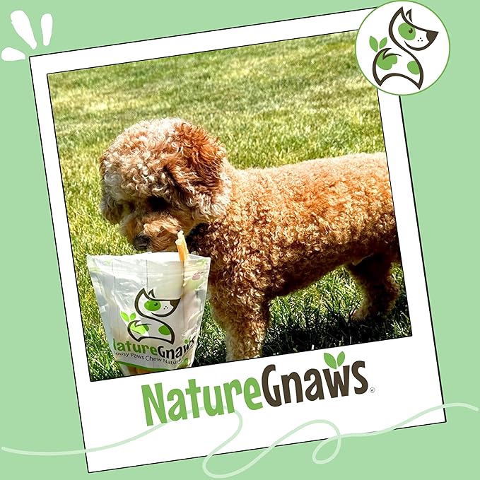 Nature Gnaws Beef Tendons for Dogs 4-5" (12 Count) - Mixed Thickness - Long Lasting for Small and Medium Dogs - Natural Beef Jerky Dog Chew Bones - Rawhide Free