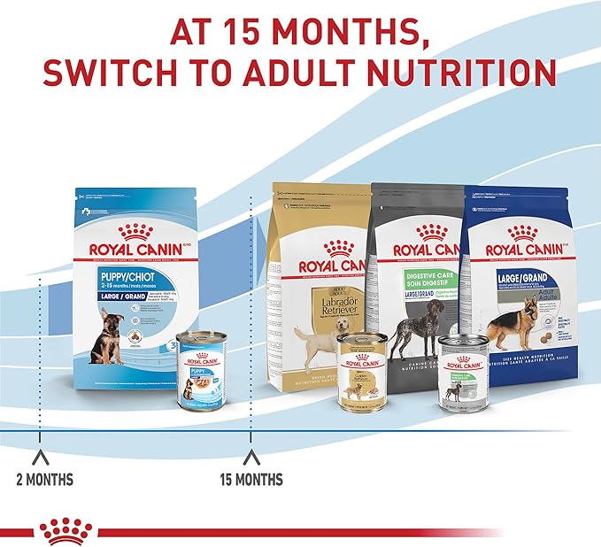 Royal Canin Size Health Nutrition Large Puppy Thin Slices in Gravy Dog Food, 13 oz (Pack of 6)