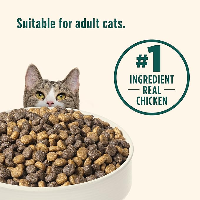 Nutrish Indoor Complete Chicken, Lentils & Salmon Recipe Dry Cat Food, 6 lb. Bag, Packaging May Vary (Rachael Ray)