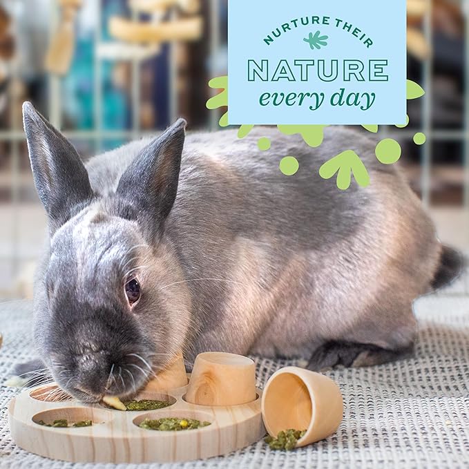 Oxbow Enriched Life Apple Stick Hay Feeder, Rabbit Toys, Guinea Pig Toys, Enrichment for Bunny, Guinea Pig, Hamster, Rabbit, Chinchilla, Chinchilla Cage Accessories, Small Pet Accessories for Cage
