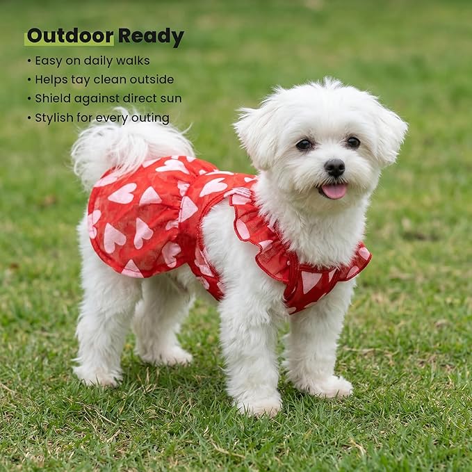 Fitwarm Valentine's Day Sweet Heart Dog Dress, Dog Holiday Outfit, Red, Pink, Medium