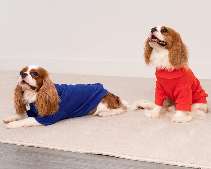 Fitwarm 3 Pack Classic Fleece Dog Sweater, Winter Clothes for Small Dogs Boy Girl, Turtleneck Dog Sweatshirt, Pet Apparel, Orange Red, Royal Blue, Neon Yellow, Medium