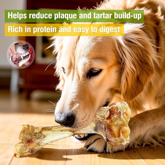 Giant Dog Bone Stick，Dental Health Dog Treat - Natural, Bite-Resistant & Teeth-Cleaning, Chew Toy for Medium and Large Dogs, 100% Grass-Fed Beef Bone for Canines(1 Count)
