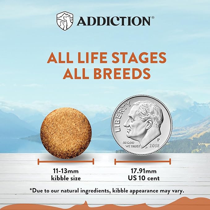 Addiction Wild Kangaroo & Apples Dry Dog Food - Limited Ingredient, Novel Protein for Dogs with Allergies, Grain-Free - Support Muscle Development & Manage Weight - Made in New Zealand 4lb - 4 Packs