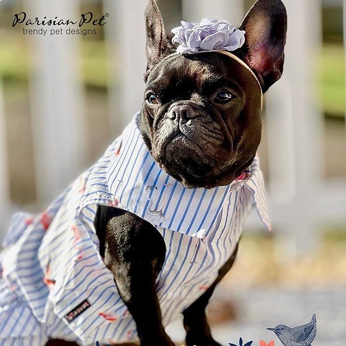 Parisian Pet Flamingo Dog Dress - Summer Clothes for Medium Dogs Girl - Stylish Pet Dress - Comfortable Sleeveless Dog Outfits - Lightweight and Breathable Puppy Clothes - Dresses for Dogs