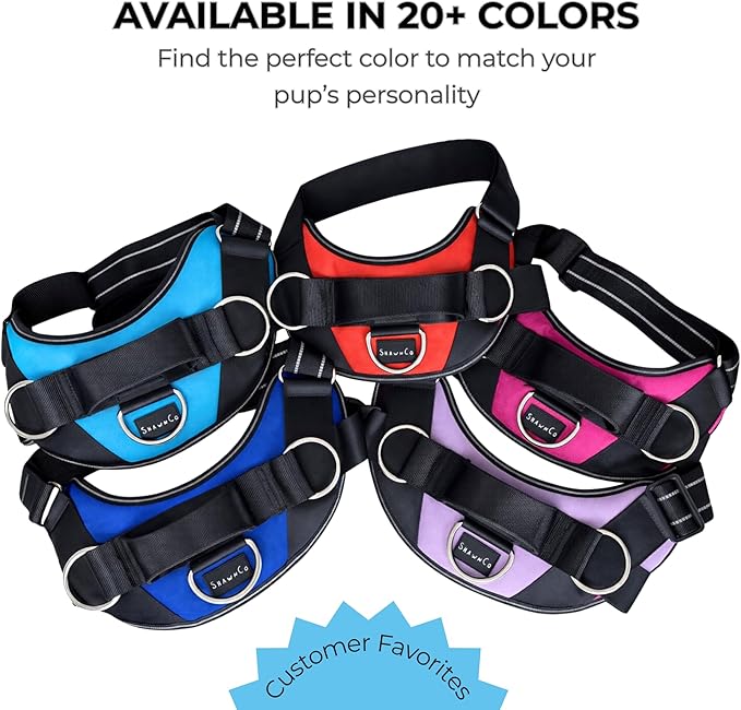 ShawnCo Essential Dog Harness, No-Pull Pet Vest with 3 Leash Clips, No Choke, Reflective, Adjustable and Padded, for Easy Walking and Training for Small, Medium and Large Dogs (Orchid, S)