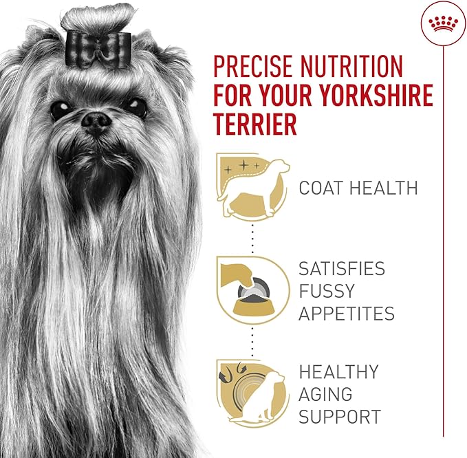 Royal Canin Breed Health Nutrition Yorkshire Terrier Adult Dry Dog Food, 2.5 lb Bag