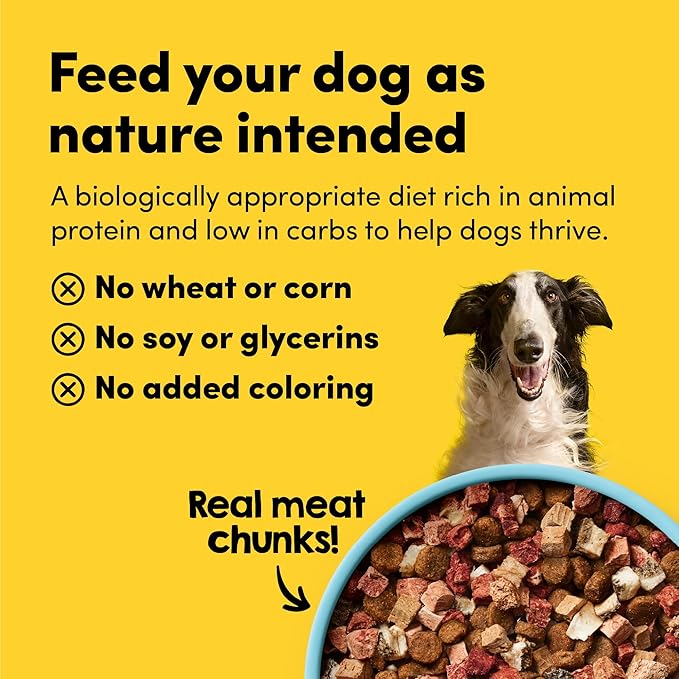 Raw Freeze Dried Dog Food RawMix50 Premium Grass-Fed Beef Recipe, Protein Rich, Includes Kibble, Non-GMO, No Wheat or Corn, 12 oz