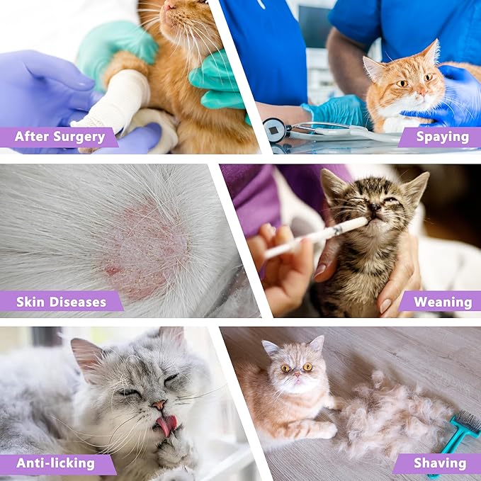 Cat Recovery Suit Anti Licking, Cat Surgery Recovery Suit Female Cats Kitten Onesie After Spay, Cone of Shame Alternative, Post- surgery Kitten Surgical Clothes for Abdominal Wounds,Purple,S
