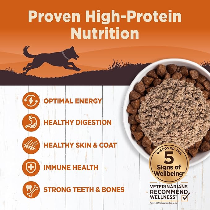Wellness CORE 95% Natural Wet Grain Free Canned Dog Food, Turkey & Spinach,12.5-Ounce Can (Pack of 12)
