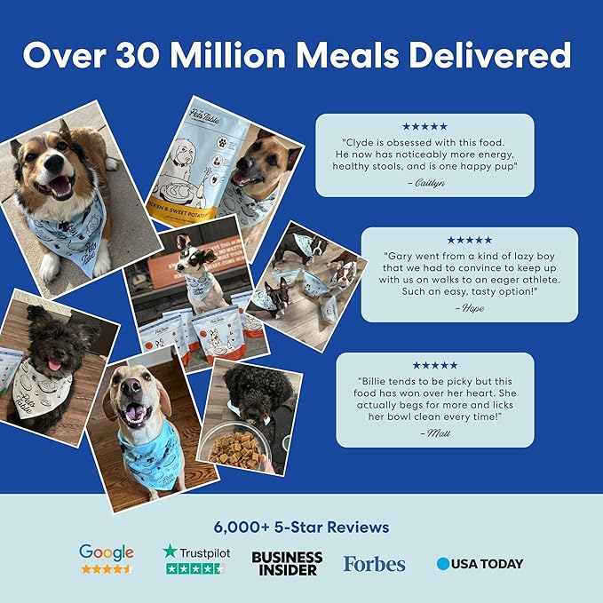 The Pets Table Mixed Grain Free and Grain Inclusive, Air Dried Dog Food 2 Pack - Beef & Berries + Chicken & Sweet Potato, 16 Ounce (Pack of 2)
