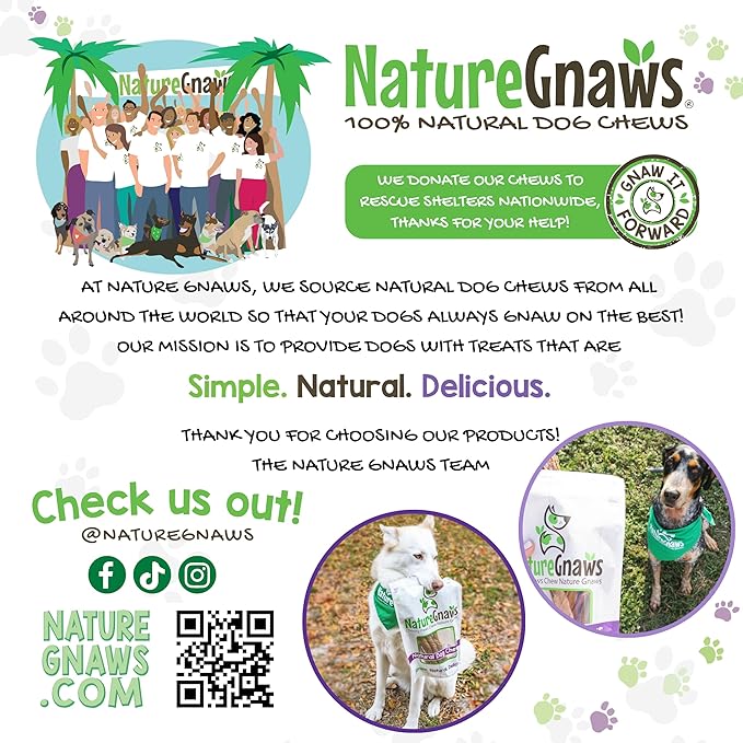 Nature Gnaws Bully Stick Bites for Small Dogs 2-4" (8oz) - Long Lasting for Light Chewers and Puppies - Natural Beef Dog Chew Treats - Rawhide Free